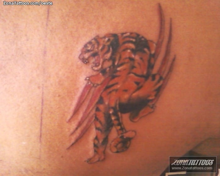 Tattoo photo Tigers, Animals