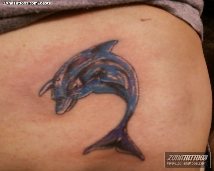 Tattoo photo Dolphins, Animals