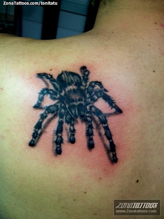 Tattoo photo Insects, Tarantulas