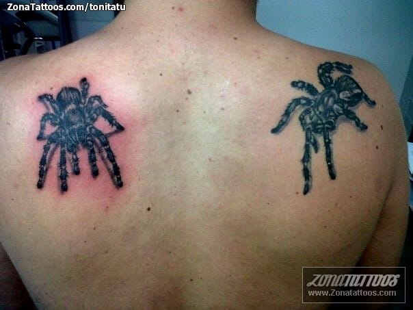 Tattoo photo Shoulder blade, Tarantulas, Insects