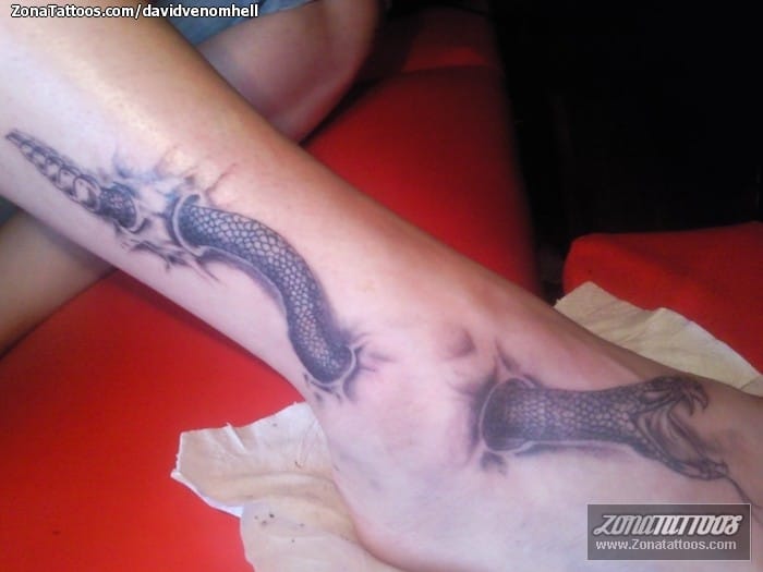 Foto de tatuaje Serpientes, Animales, Tobillo