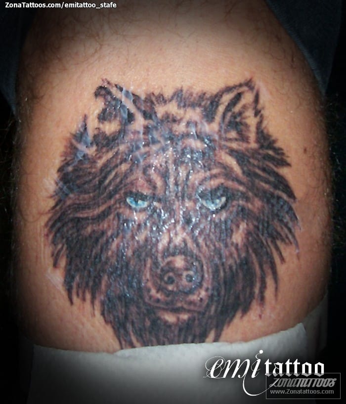 Tattoo photo Animals, Wolfs