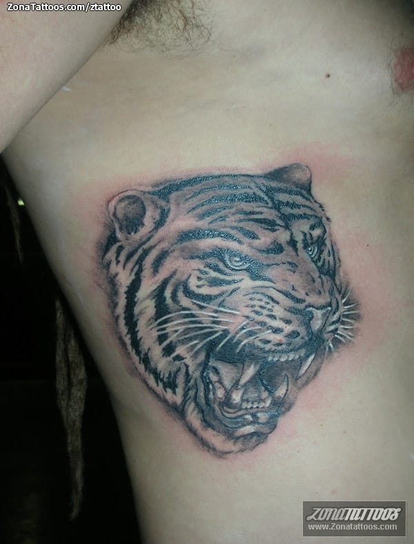 Tattoo photo Animals, Tigers