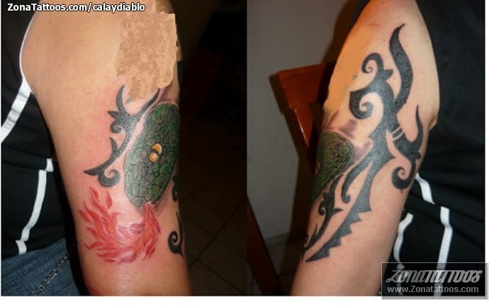 Foto de tatuaje Serpientes, Tribales, Animales