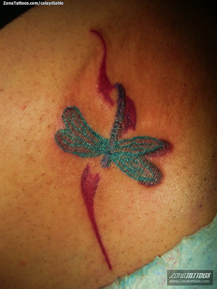 Tattoo photo Dragonflies, Insects