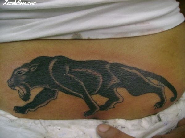 Tattoo photo Panthers, Animals