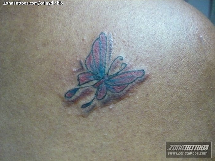 Tattoo photo Butterflies, Insects