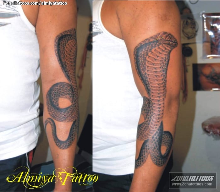 Tattoo photo Snakes, Animals