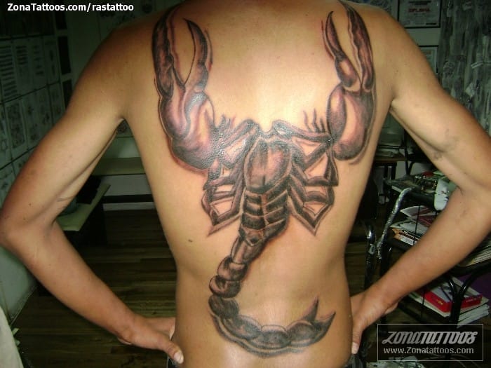 Foto de tatuaje Escorpiones, Insectos, Espalda