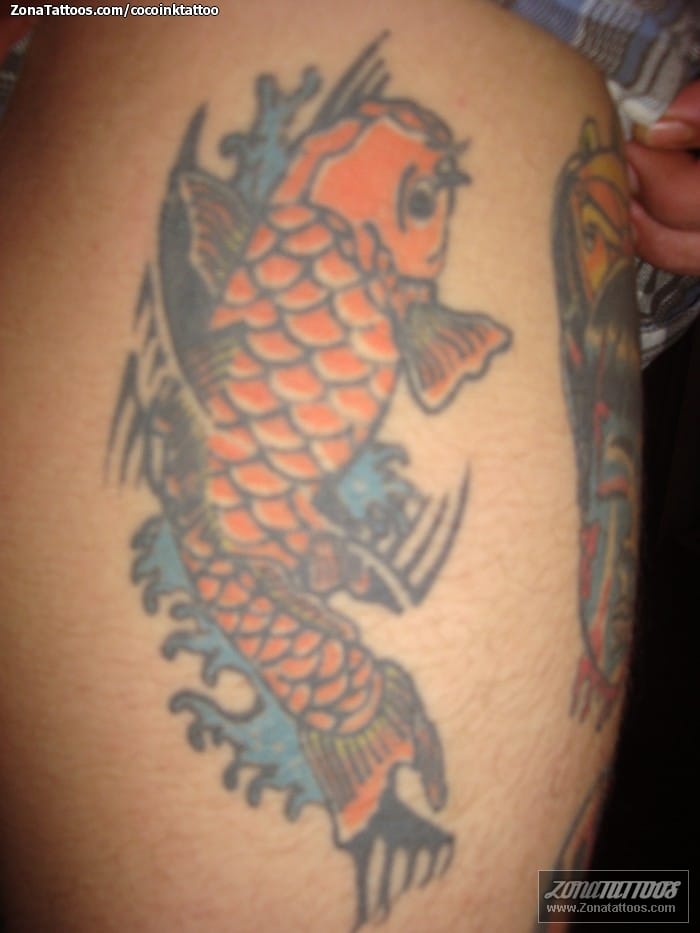 Foto de tatuaje Koi, Peces, Animales