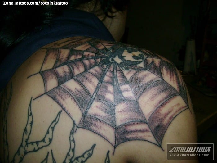 Tattoo photo Cobwebs, Spiders, Insects