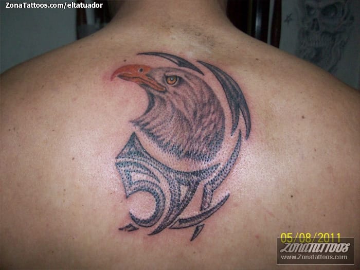 Foto de tatuaje Águilas, Aves, Tribales