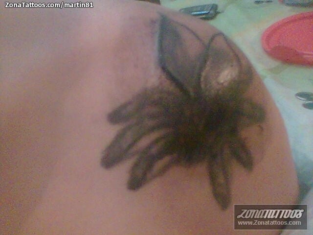 Tattoo photo Cover Up, Tarantulas, Insects