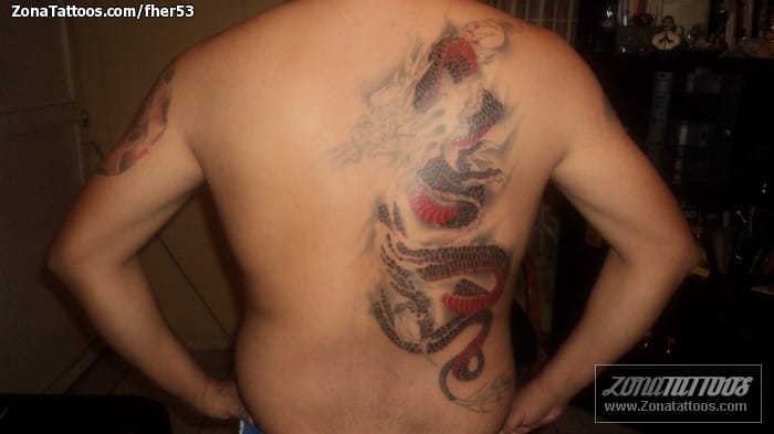 Tattoo photo Back, Dragons