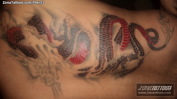 Foto de tatuaje Espalda, Dragones