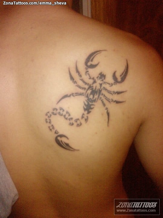 Tattoo photo Scorpions, Tribal, Insects