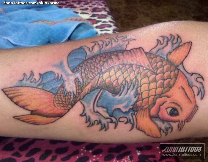 Foto de tatuaje Koi, Peces, Animales