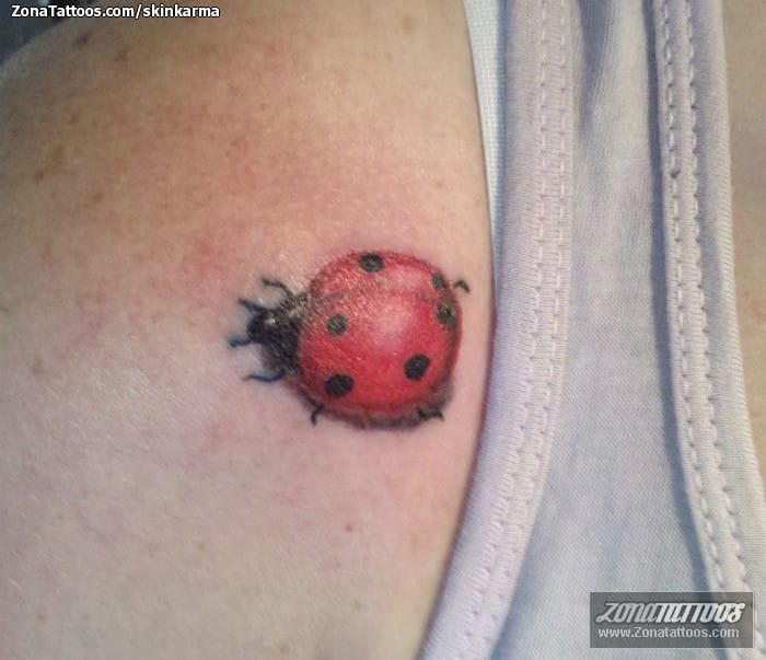 Tattoo photo Ladybugs, Insects