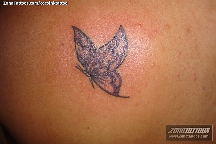 Foto de tatuaje Mariposas, Insectos