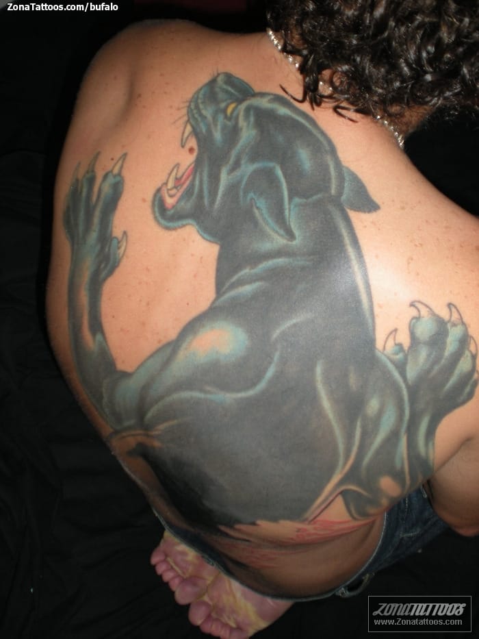 Tattoo photo Panthers, Animals