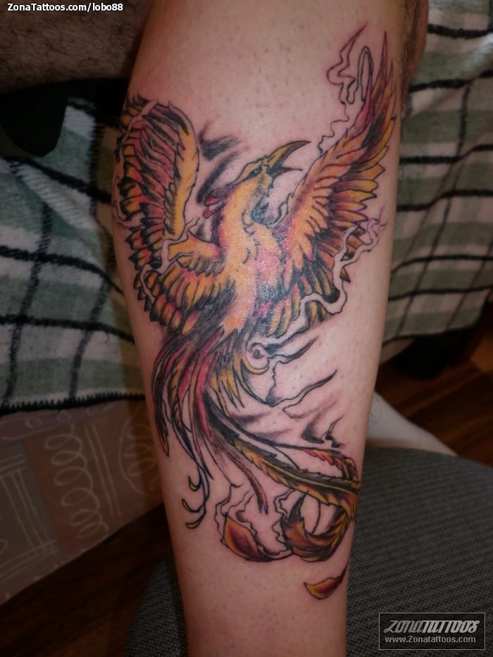 Tattoo photo Phoenix, Fantasy