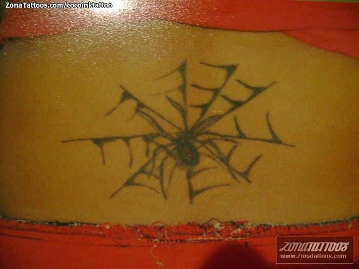 Tattoo photo Cobwebs, Spiders, Insects