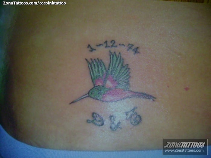 Foto de tatuaje Colibríes, Aves, Animales