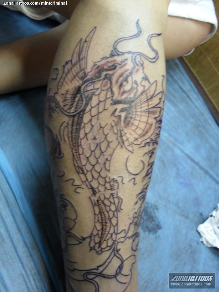 Tattoo photo Koi, Fish, Animals