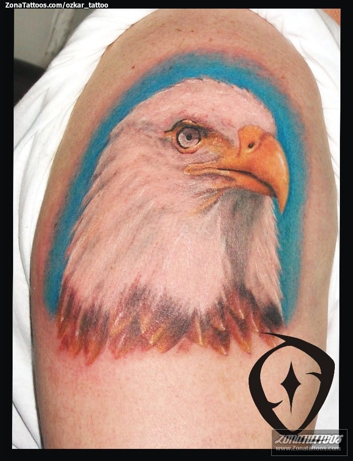 Foto de tatuaje Águilas, Animales, Aves