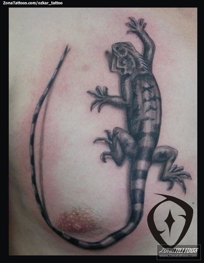 Tattoo photo Iguanas, Lizards, Animals