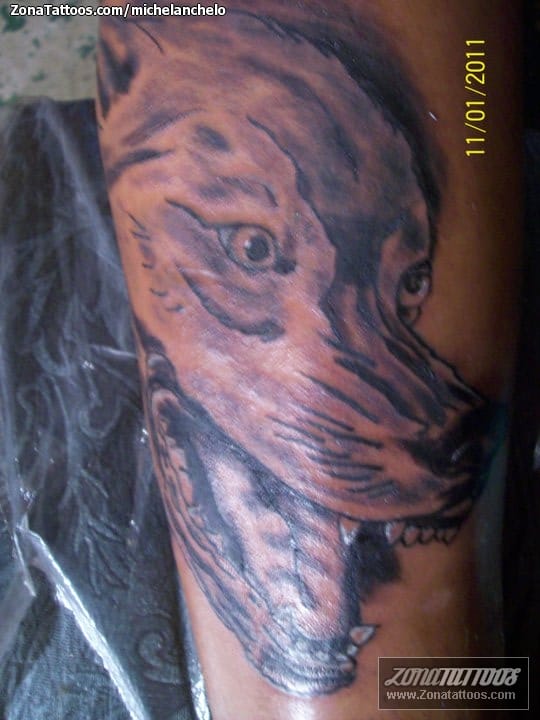 Tattoo photo Dogs, Animals