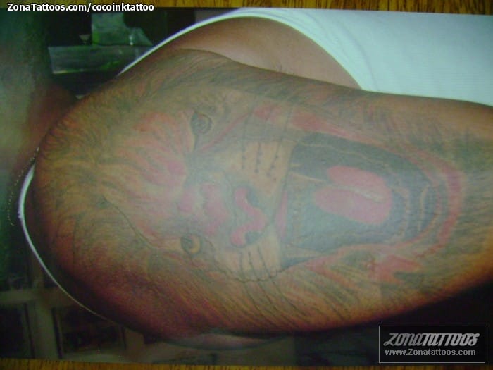 Foto de tatuaje Leones, Animales