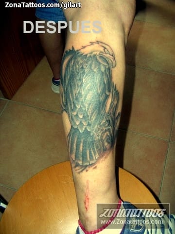 Foto de tatuaje Cover Up, Águilas, Aves