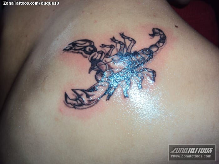 Tattoo photo Scorpions, Insects