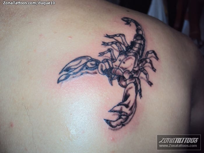 Tattoo photo Scorpions, Insects