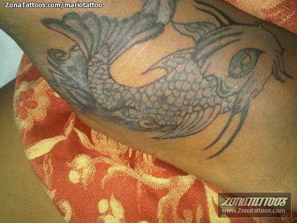 Tattoo photo Animals, Fish, Koi