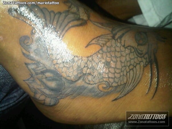 Foto de tatuaje Koi, Peces, Animales