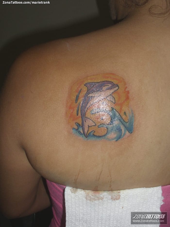 Foto de tatuaje Delfines, Animales, Agua