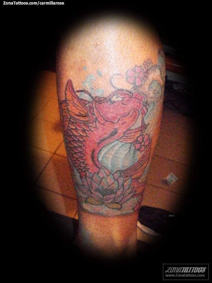 Tattoo photo Koi, Fish, Animals