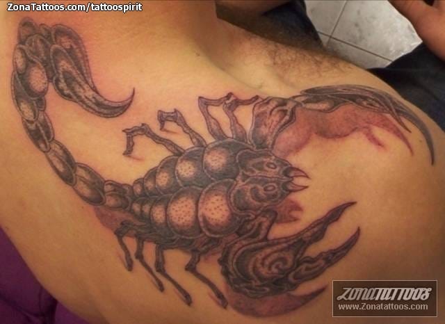 Tattoo photo Scorpions, Insects