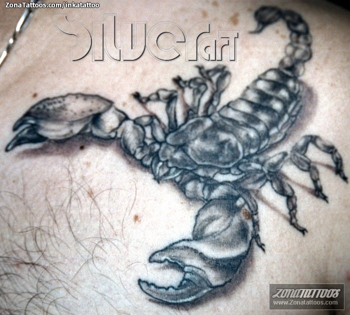 Tattoo photo Scorpions, Insects