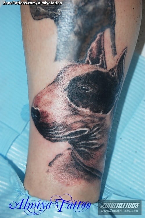 Tattoo photo Dogs, Animals