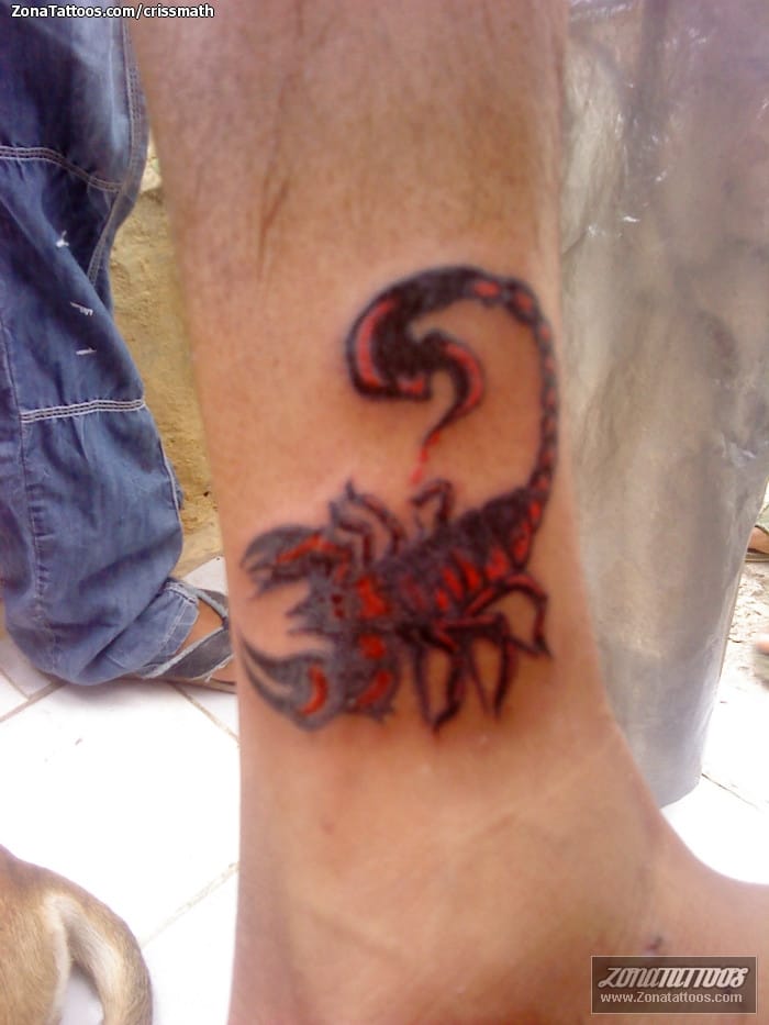 Tattoo photo Ankle, Scorpions, Insects