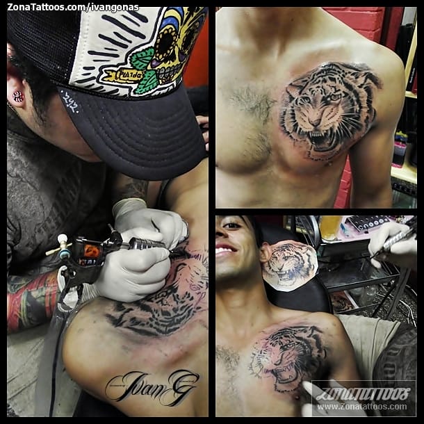 Foto de tatuaje Tigres, Animales, Pecho