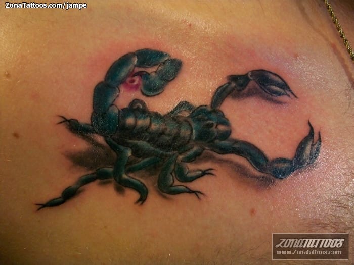 Tattoo photo Scorpions, Insects