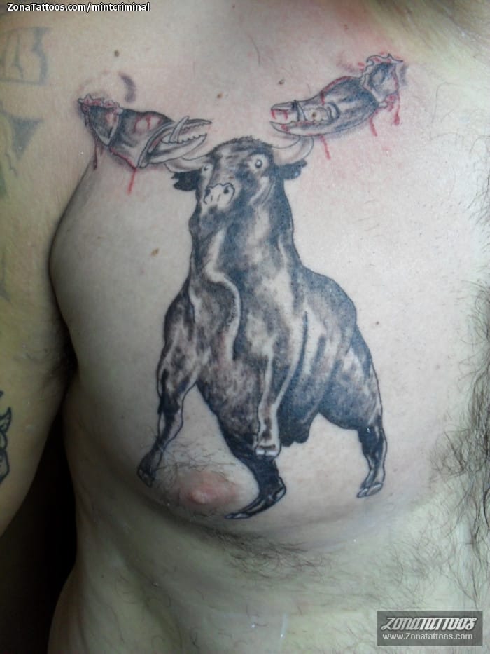 Tattoo of Animals, Bulls, Chest