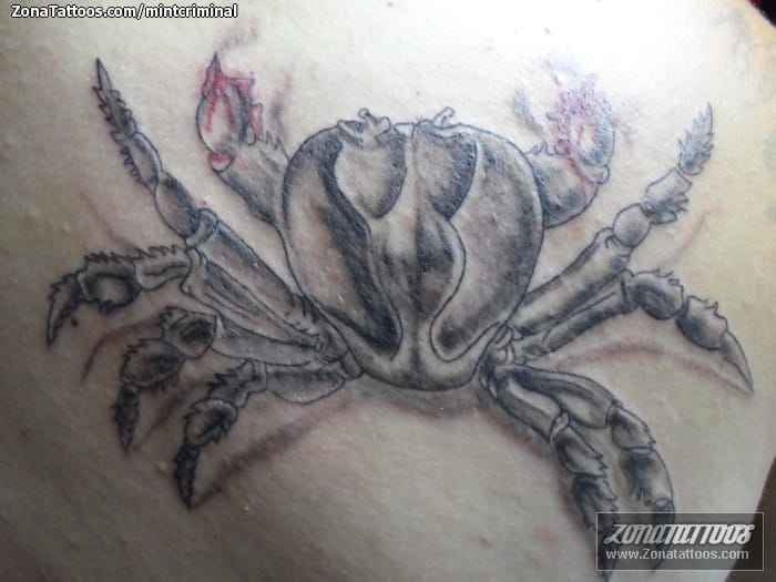 Tattoo photo Crabs, Animals