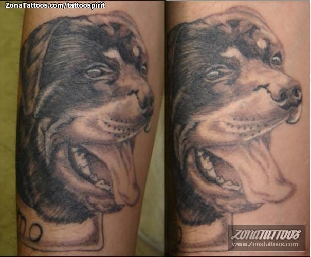 Tattoo photo Dogs, Animals