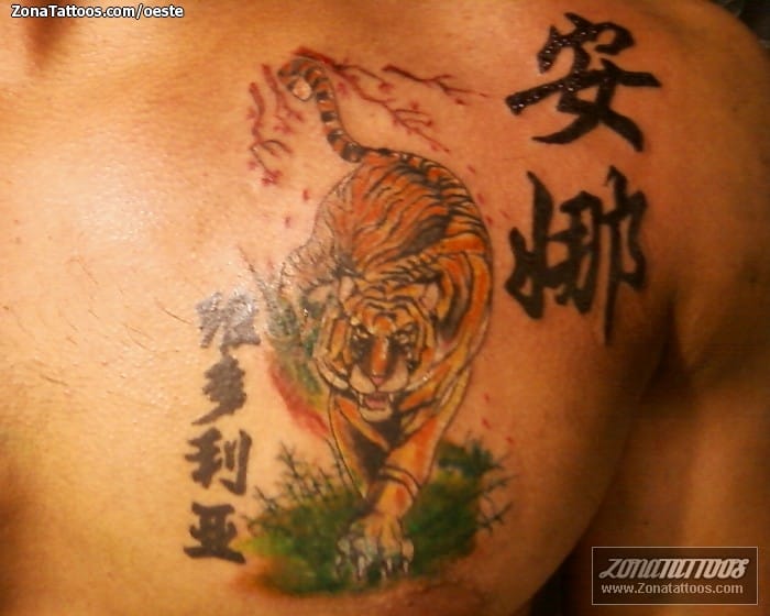 Tattoo photo Tigers, Animals, Kanjis