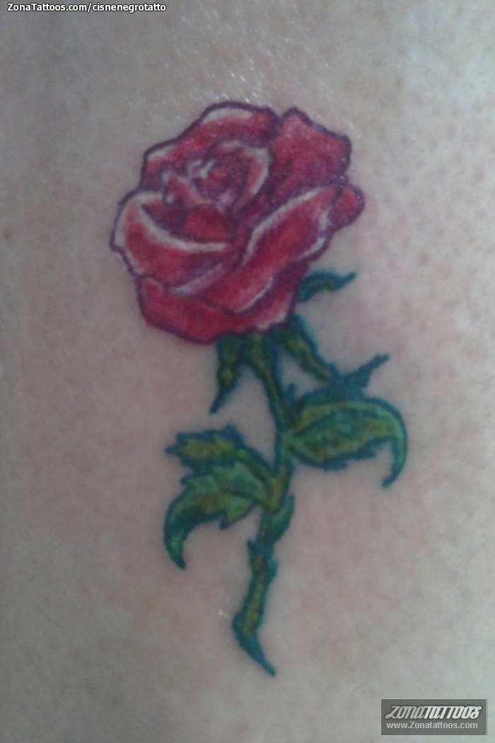 Tattoo photo Roses, Flowers